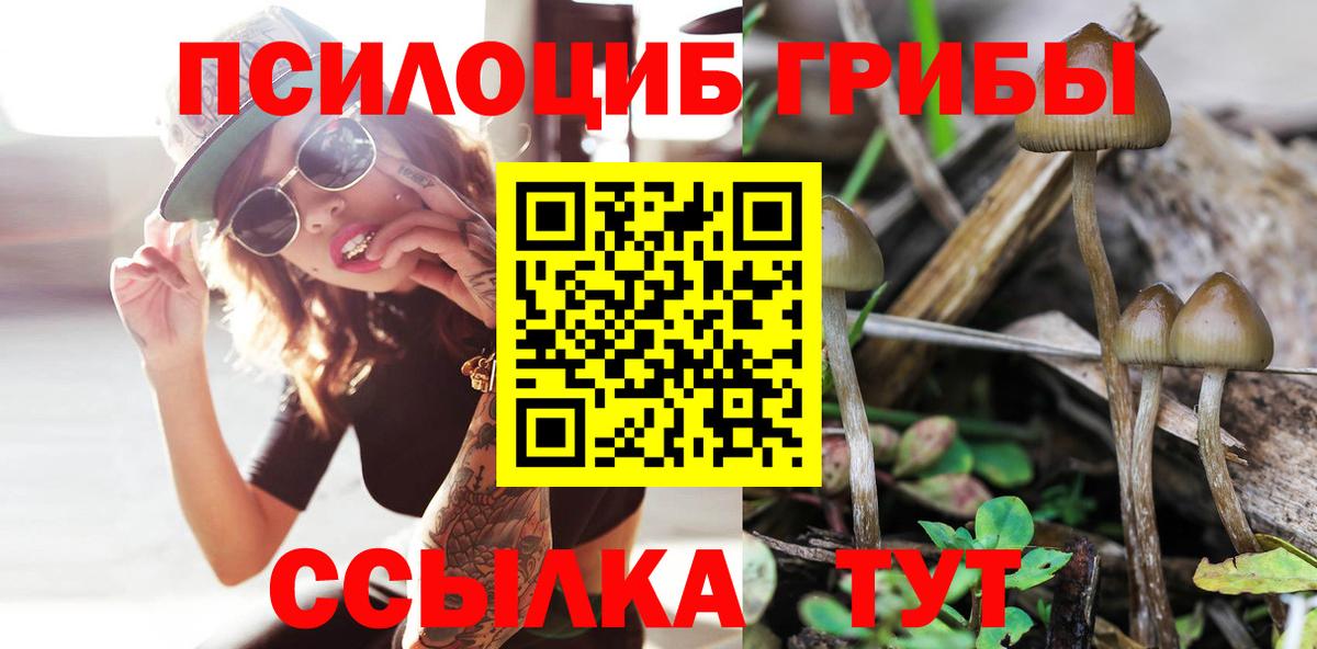 Галлюциногенные грибы Cubensis Славянск-на-Кубани